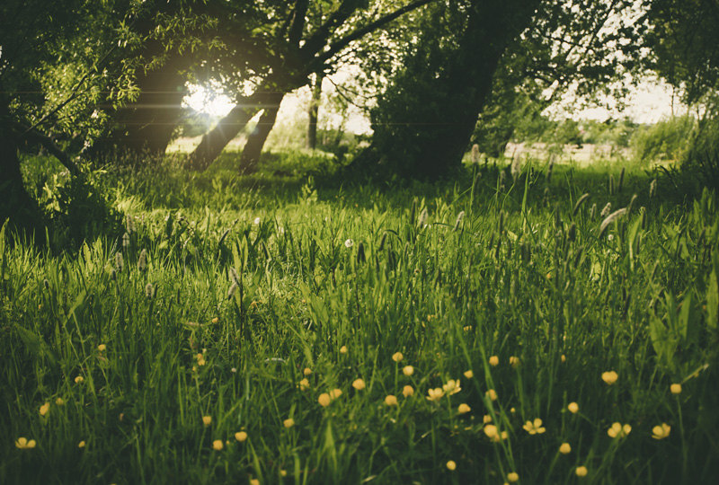3 Essential Life Skills after Addiction Treatment