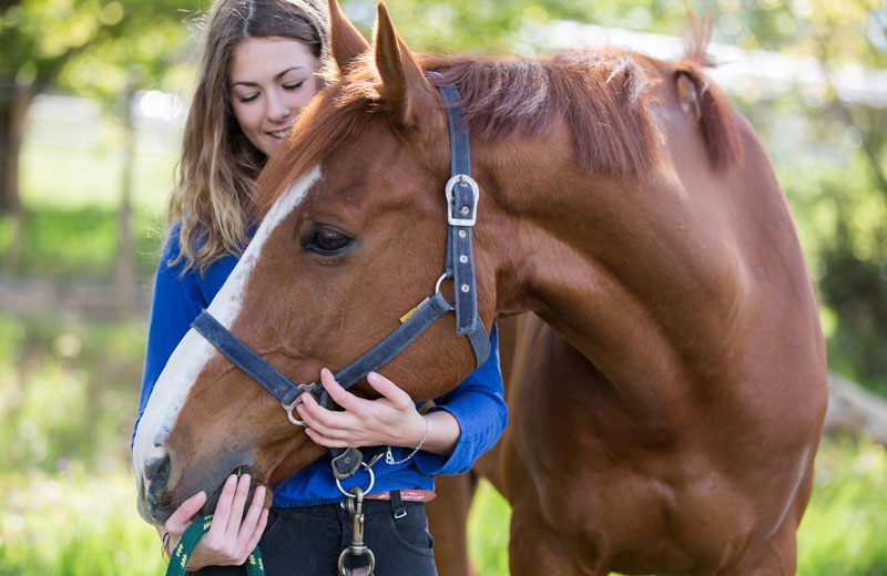 Equine Therapy for Treating Substance Abuse Disorder