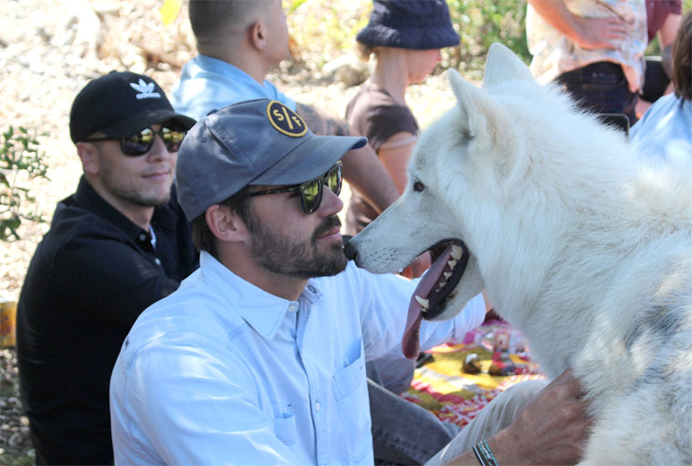 Wolf Assisted Therapy