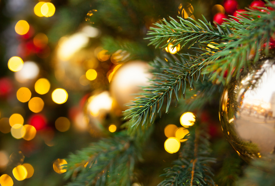 Helping Family Members Avoid Relapse During the Holidays
