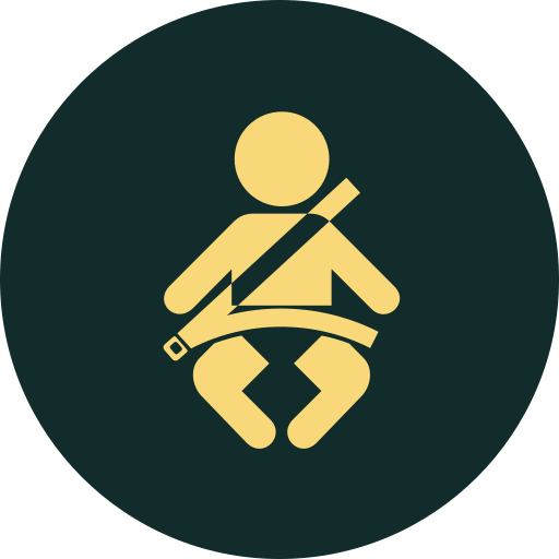 child seat belt