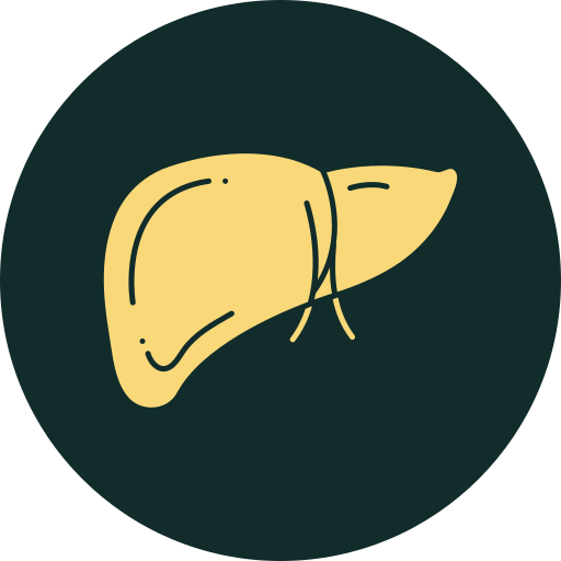 hepatology liver