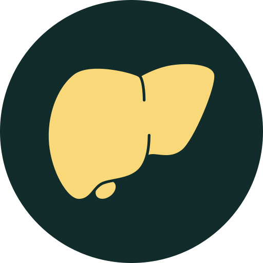 liver