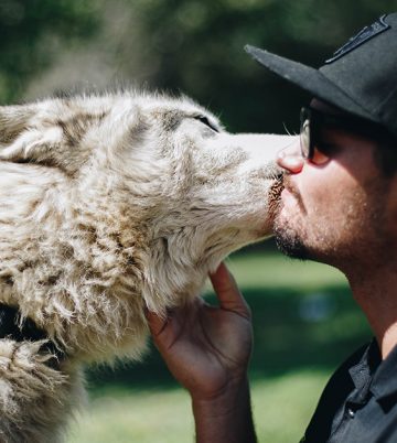Wolf therapy for addiction treatment